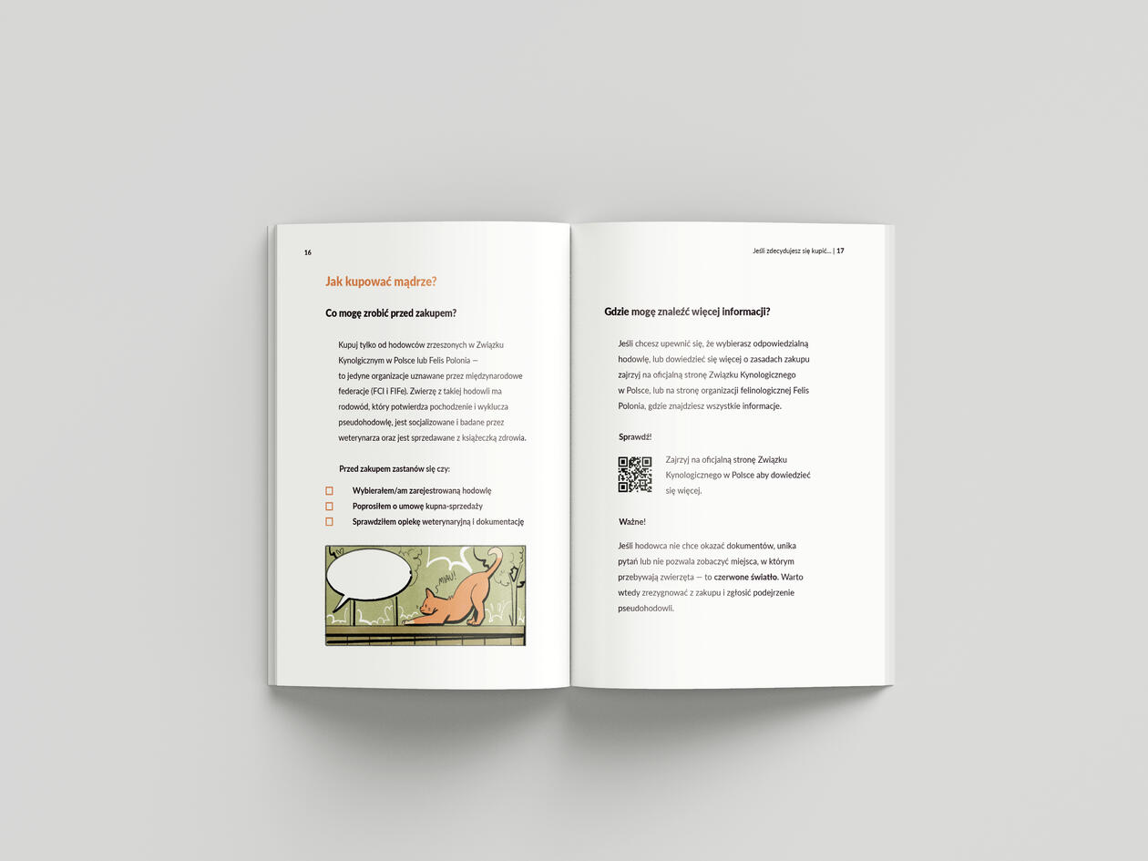 Illustrated Guide Spread, 2026