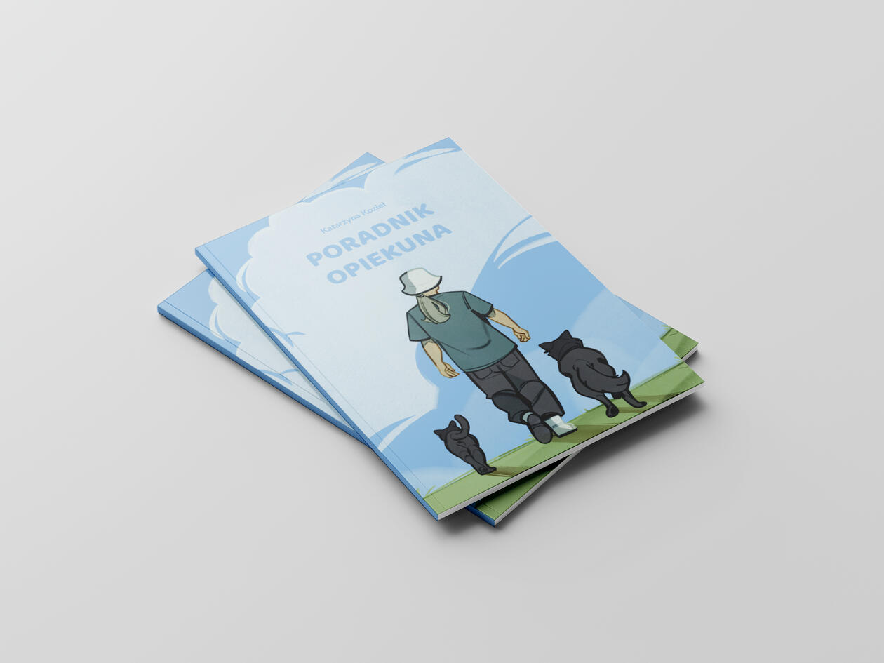 Illustrated Guide, 2026